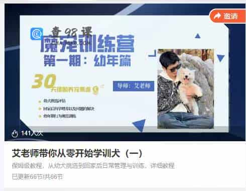 艾老师带你从零开始学训犬（一）