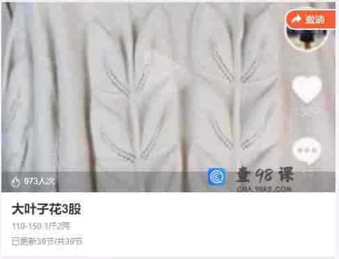 8787  大叶子花3股