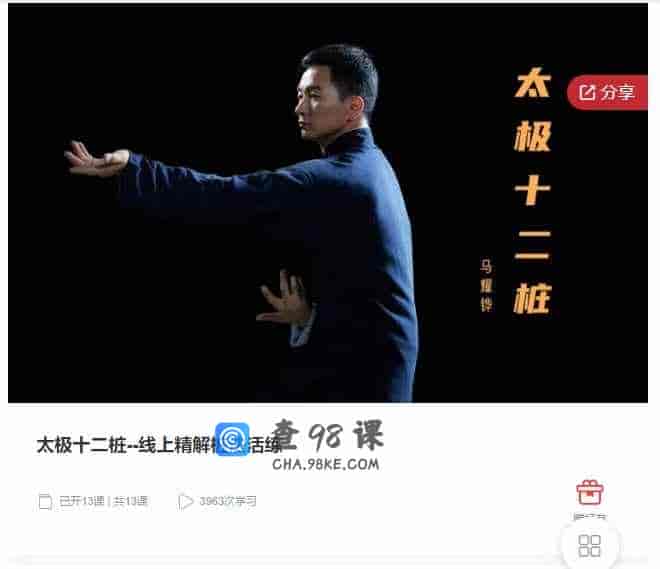 千聊 –  太极十二桩–线上精解桩法活练