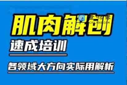 肌肉解剖培训【速记速用】-61