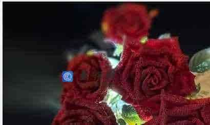 黑巴克正课+福利微钩课程 -11