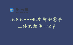 34834—张发智形意拳三体式教学-12节