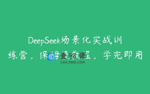 DeepSeek场景化实战训练营，保姆级教程，学完即用