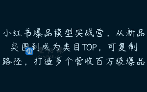 小红书爆品模型实战营，从新品突围到成为类目TOP，可复制路径，打造多个营收百万级爆品