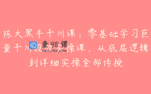 陈大黑牛千川课：零基础学习巨量千川投放实操课，从底层逻辑到详细实操全部传授