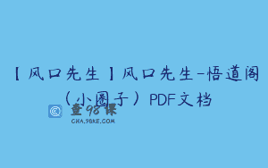 【风口先生】风口先生-悟道阁（小圈子）PDF文档
