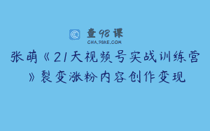 张萌《21天视频号实战训练营》裂变涨粉内容创作变现