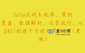 TikTok实战系统课，案例复盘、数据解析、运营执行，从0到1构建千万级电商体系（更新）