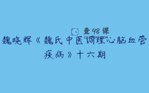 魏晓辉《魏氏中医调理心脑血管疾病》十六期