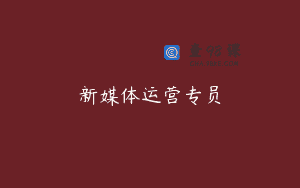 新媒体运营专员