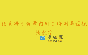 杨真海《黄帝内针》培训课程视频教学
