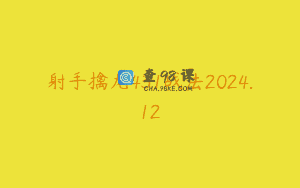 射手擒龙431战法2024.12