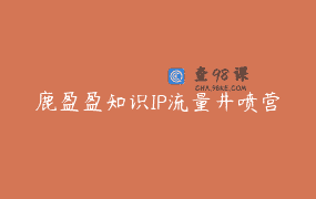 鹿盈盈知识IP流量井喷营